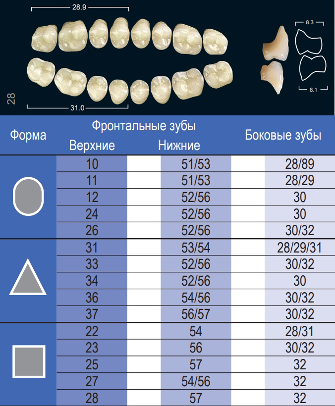 Зубы Ivocryl верхние жевательные (8 шт) Ivoclar