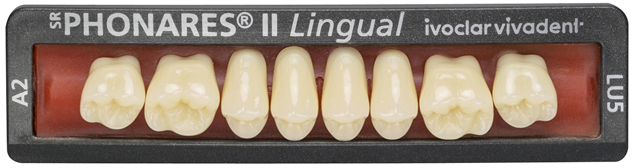 Зубы SR Phonares II Lingual верхние жевательные (8 шт) Ivoclar