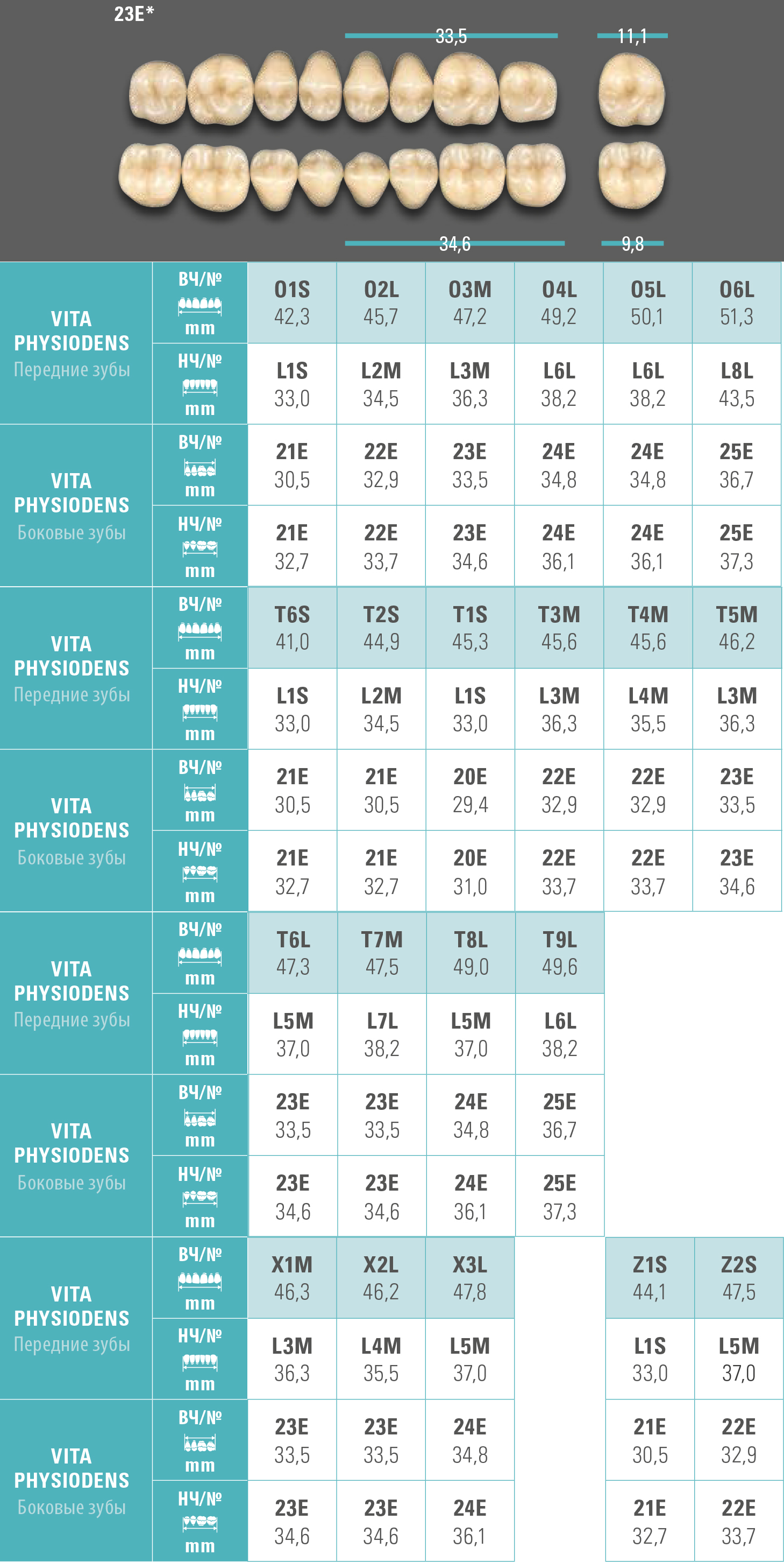 Зубы Physiodens нижние жевательные (8 шт) Vita