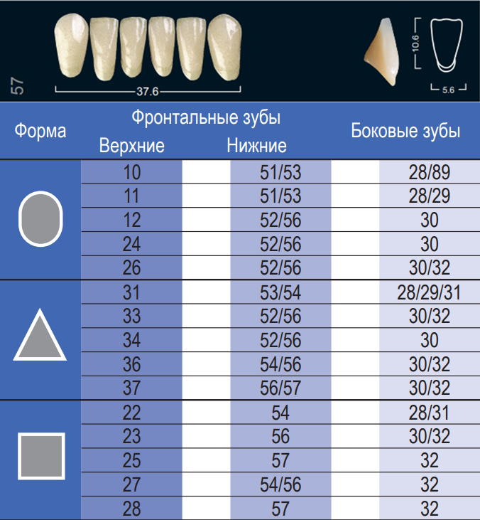 Зубы Ivocryl нижние фронтальные (6 шт) Ivoclar