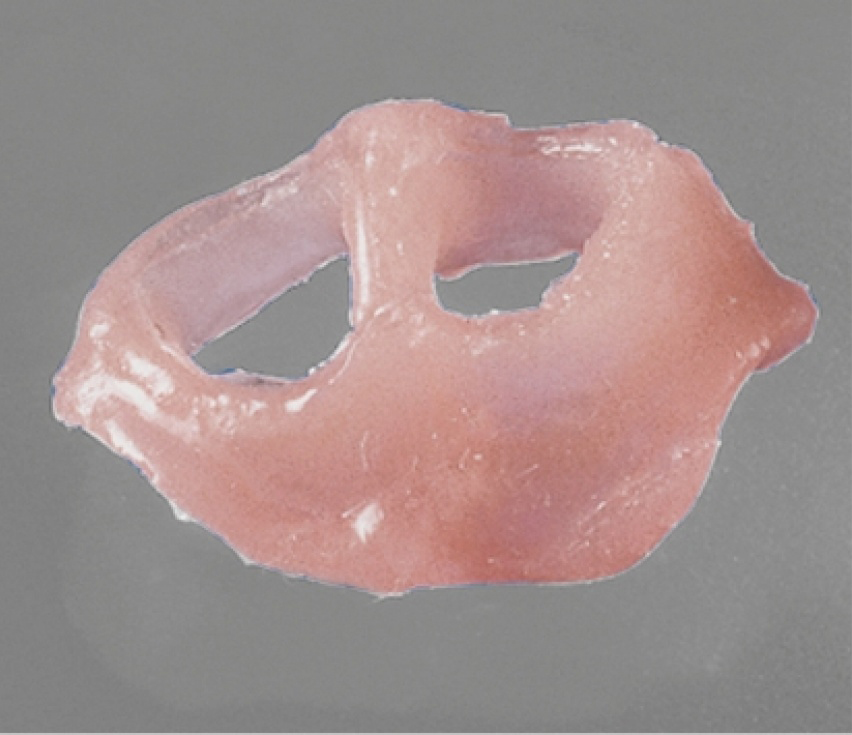 А-силикон, маска десневая, мягкая Esthetic-Mask (2х50 мл, 15 мл, смесители) Detax 03113
