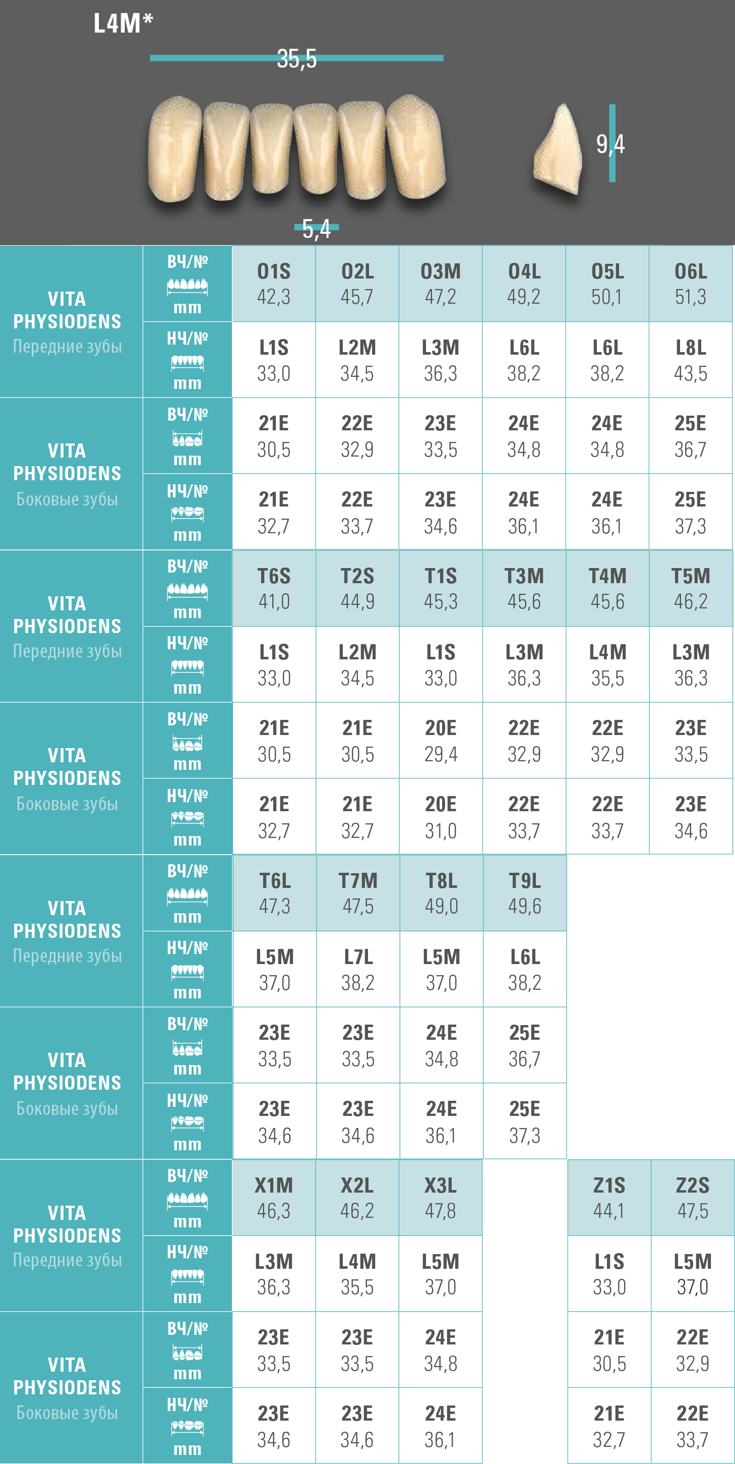 Зубы Physiodens нижние фронтальные (6 шт) Vita