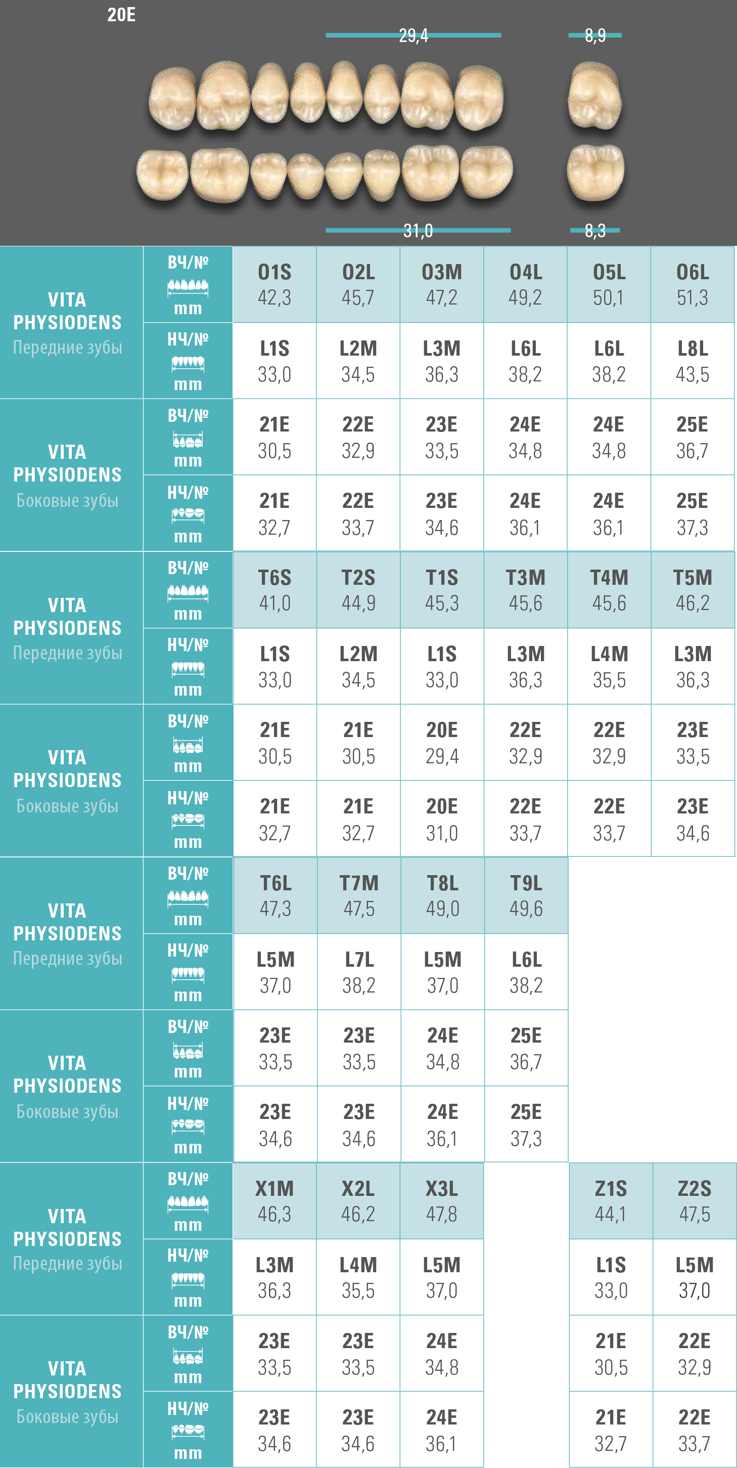 Зубы Physiodens верхние жевательные (8 шт) Vita