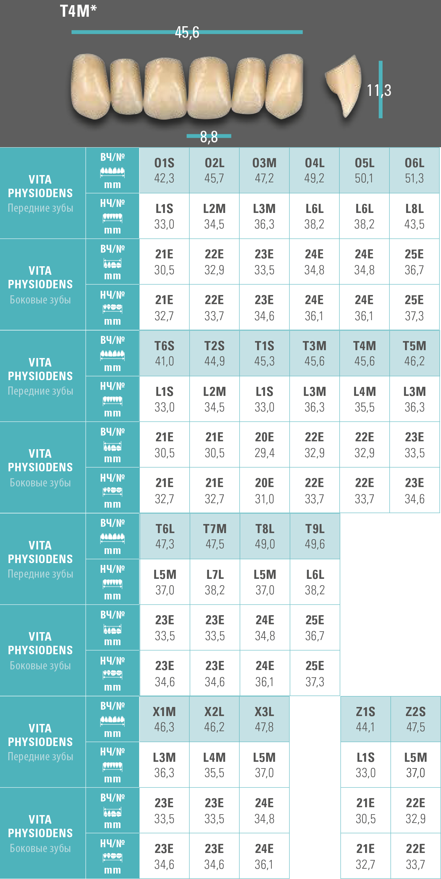 Зубы Physiodens верхние фронтальные (6 шт) Vita