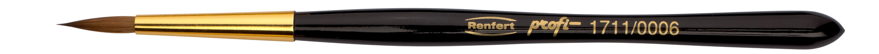 Набор кисточек Profi (6 шт) Renfert 17110100