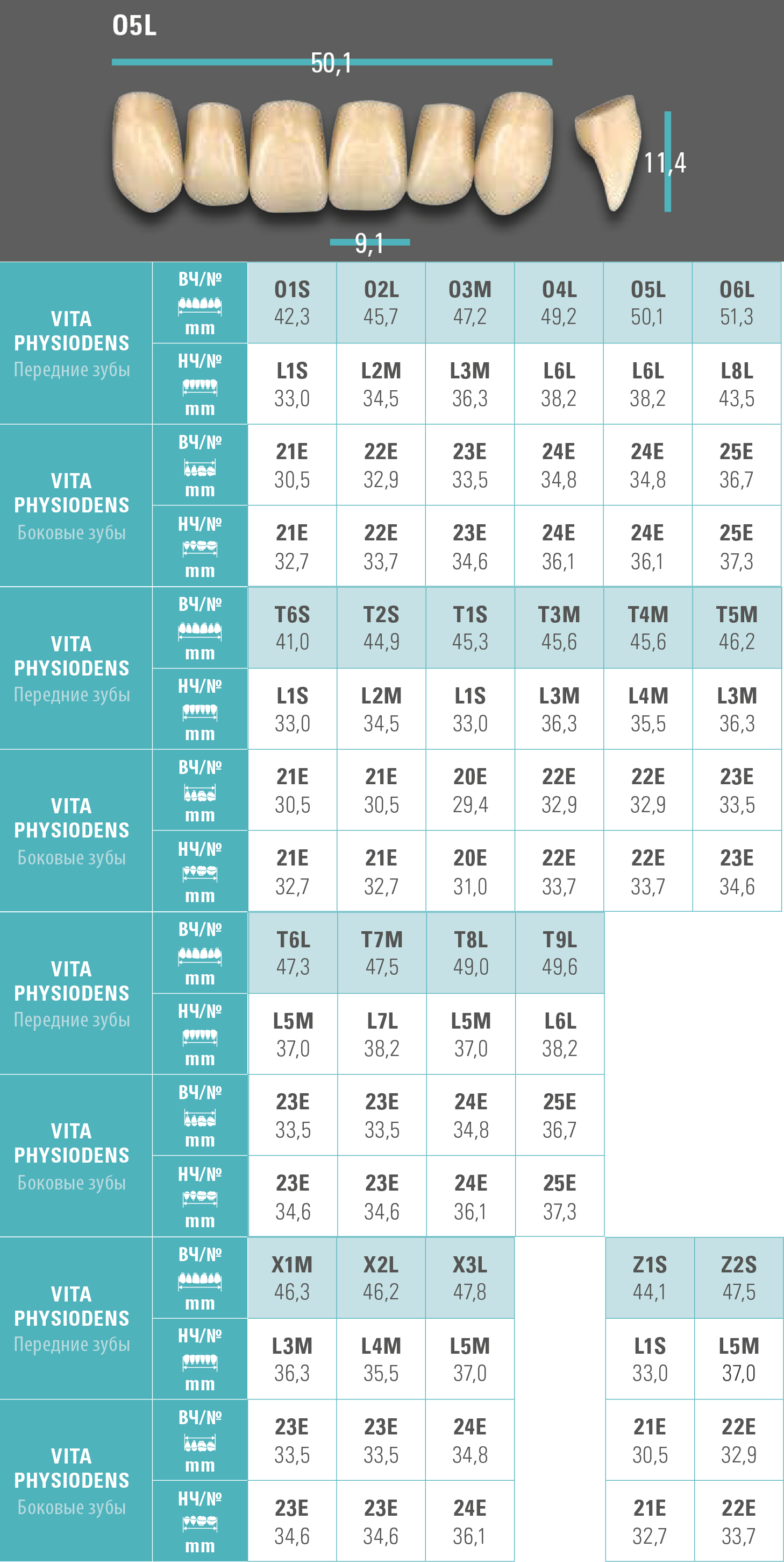 Зубы Physiodens верхние фронтальные (6 шт) Vita