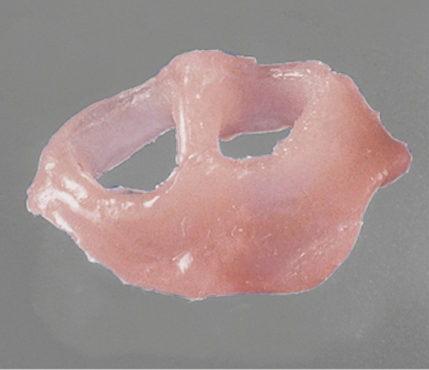 А-силикон, маска десневая, мягкая Esthetic-Mask (2х50 мл, 15 мл, смесители) Detax 02340