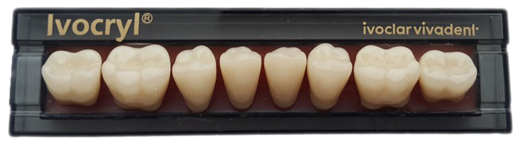 Зубы Ivocryl нижние жевательные (8 шт) Ivoclar