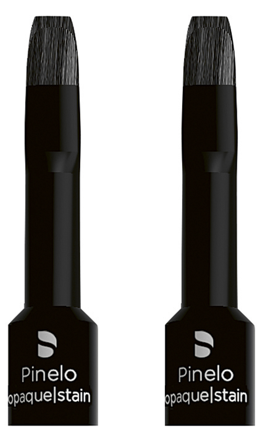 Наконечник магнитный Brush tip Pinelo сменный (2 шт) Dentsply Sirona