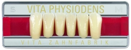 Зубы Physiodens нижние фронтальные (6 шт) Vita